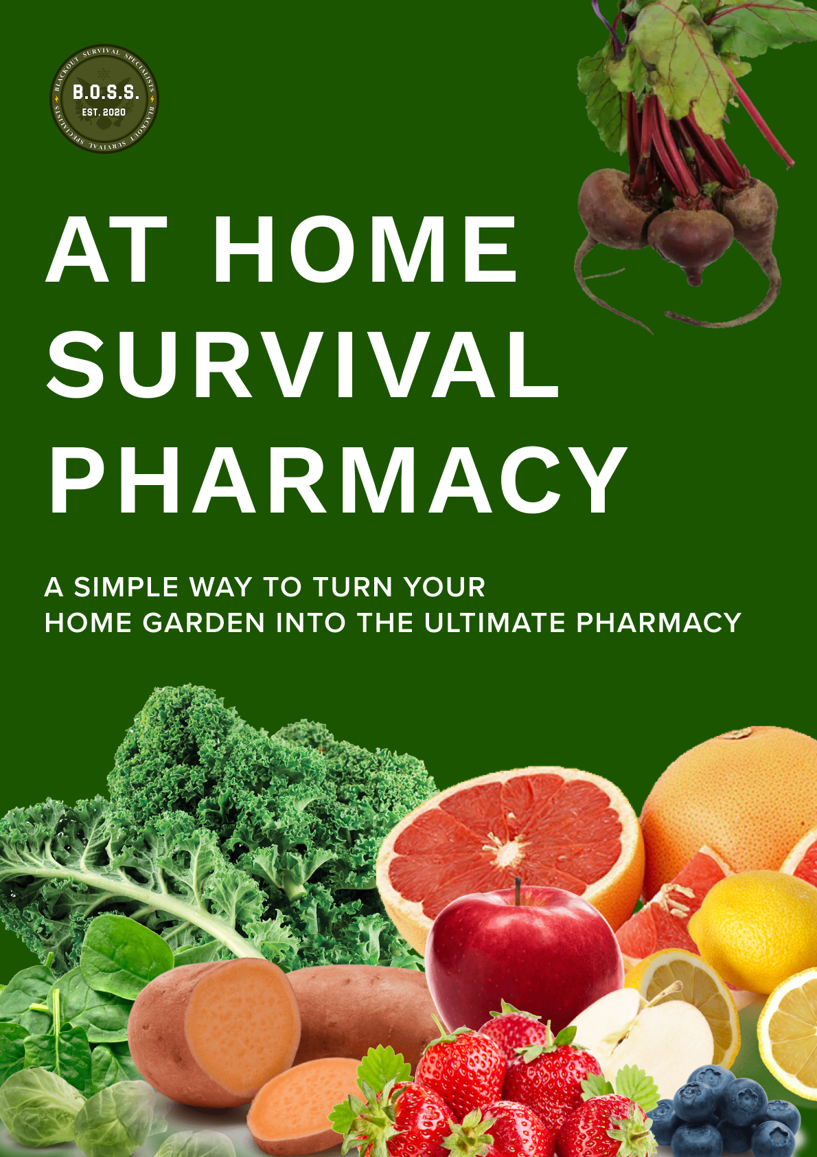 At Home Survival Pharmacy