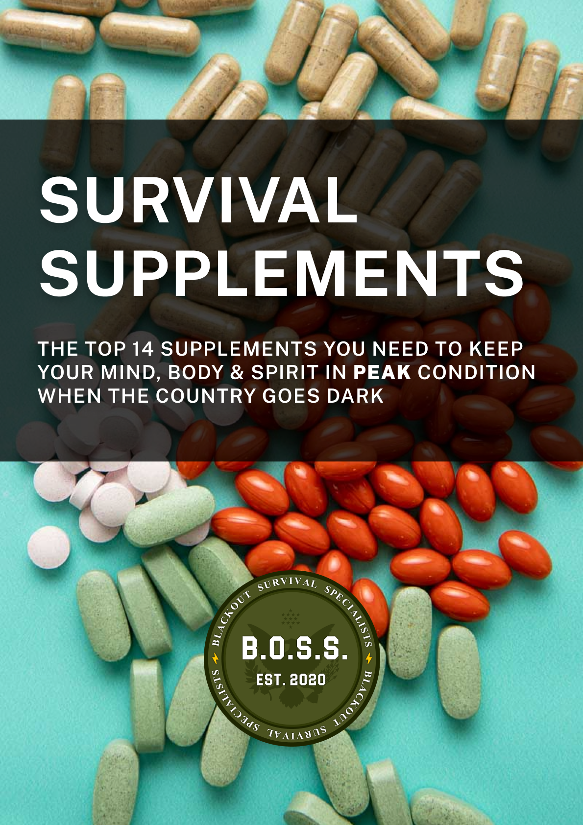 Survival Supplements
